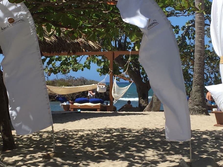 Serenity Beach, VIP Access Only. This is where they have a fresh oyster bar (oysters shipped in daily), bar, restaurant, and crepe dessert bar. Beautiful beach with beds to lay out on and large oversize beach chairs.