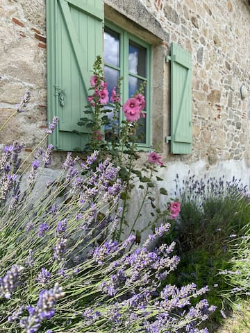 listing_image