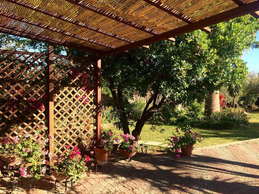 The garden.