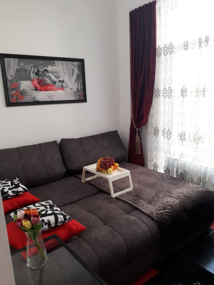 舒适的开放式沙发，矫形。睡得很香！可供2名成人和1名儿童入住 