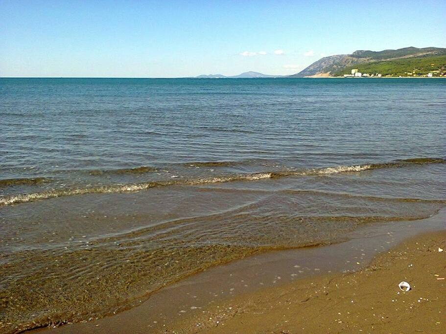 sea shore