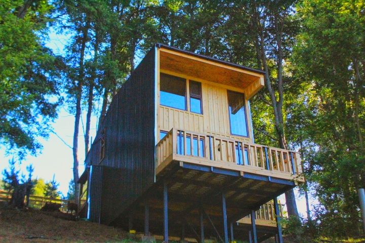 A contemporary cabin is situated among trees, elevated on stilts with a wooden deck. Large windows offer views of the surroundings, while the combination of natural wood and dark siding creates a striking contrast against the greenery.