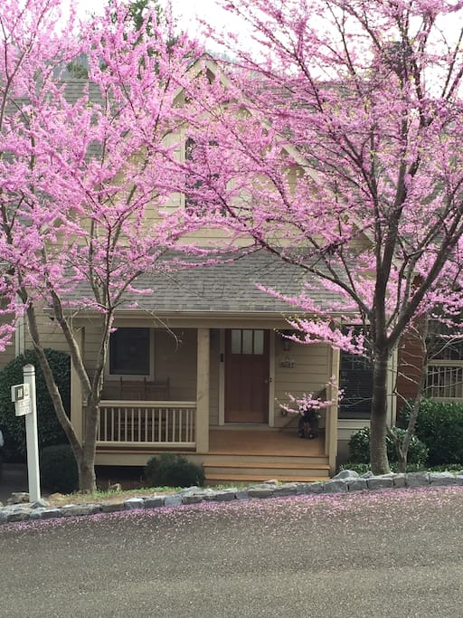 View of the house from the front