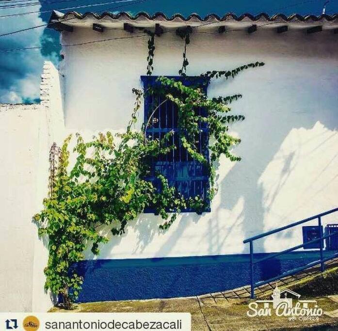 House Fade / Fachada