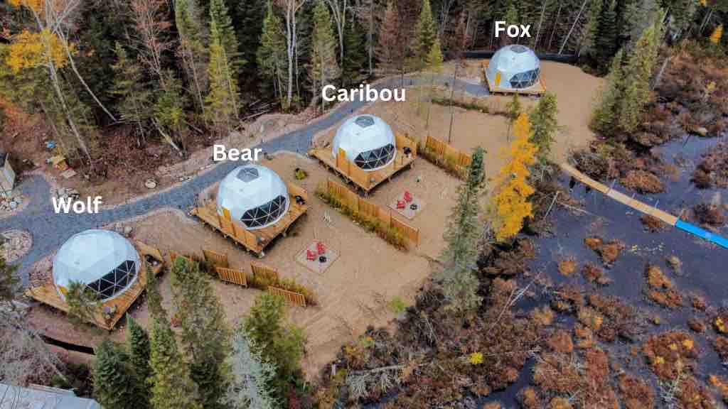 An aerial view of four geodesic domes set in a wooded area. Each dome is separated by sandy paths and surrounded by trees, with a shallow water body nearby. The playful arrangement of the domes is complemented by vibrant fall foliage.