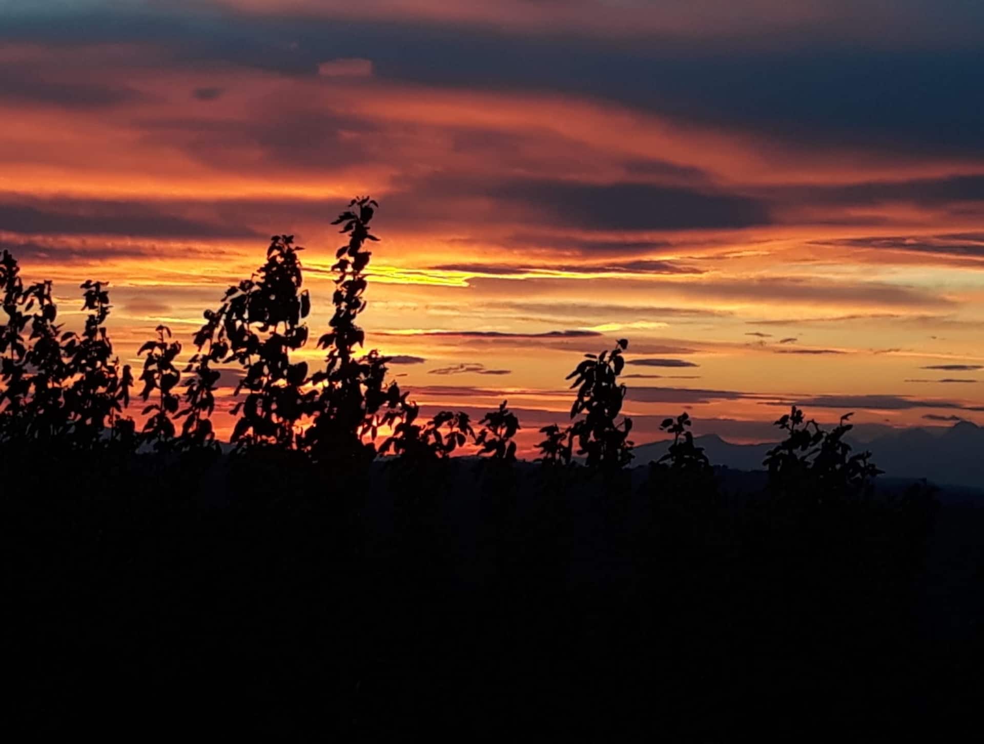 The Chianti Classico Sunset — photo 4