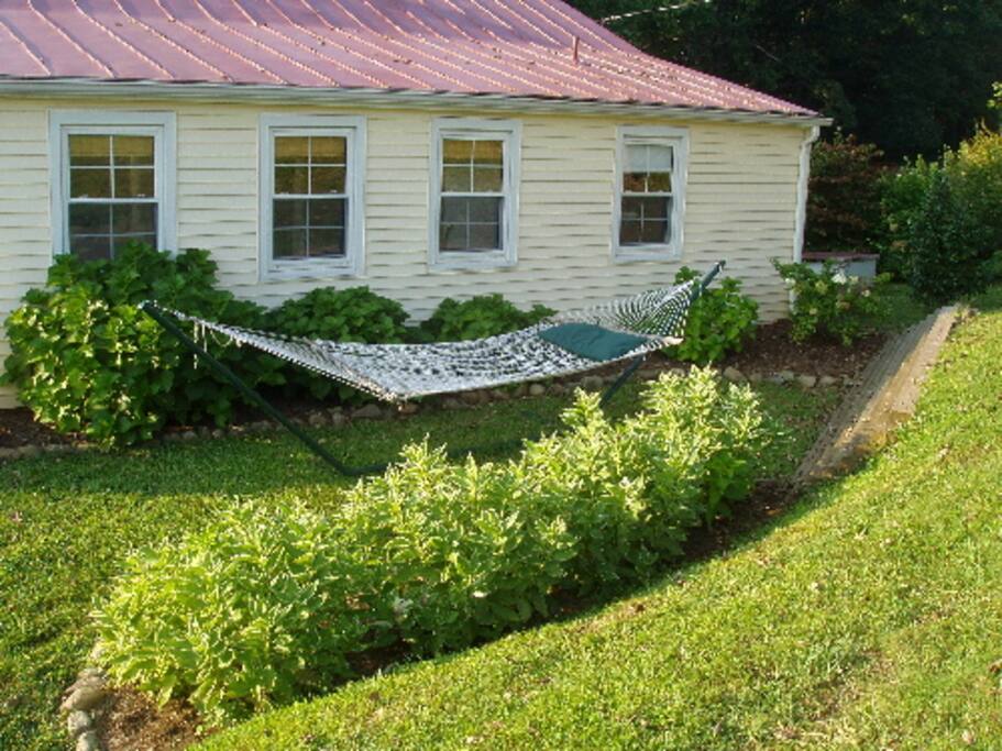 Laze in hammock at Carrie's Cottage