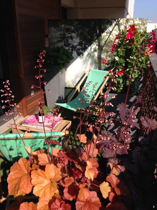 Une terrasse privative ensoleillée