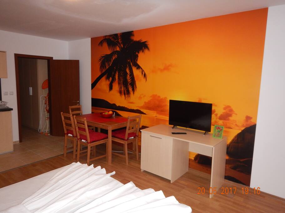 Спальня, столовая и кухня объединены в одну комнату / Bedroom, dining room and kitchen combined into one room