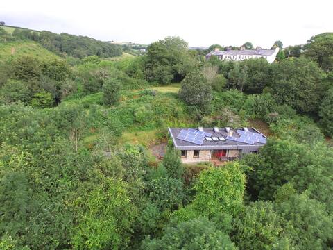 Cornish Eco home in the Woods with Hot tub.