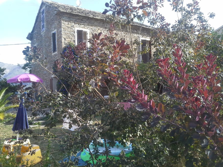 vue du jardin