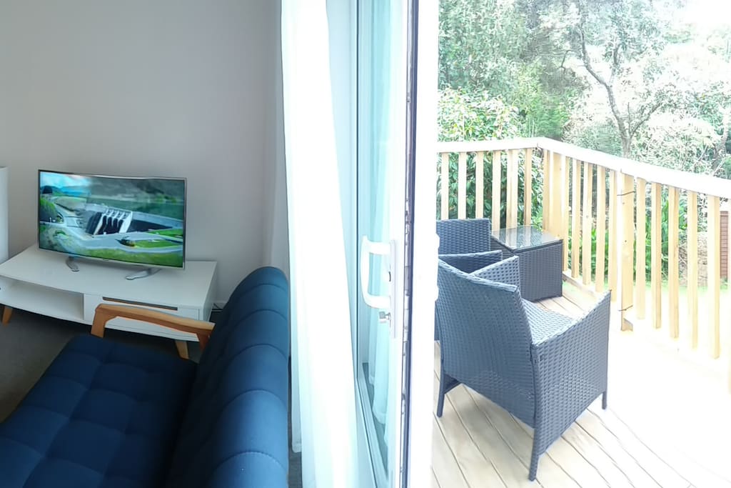 Studio with Smart TV; wide sliding door opening to garden