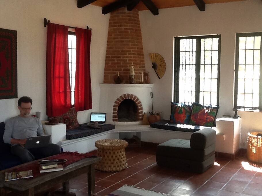 Living area with functional fireplace
