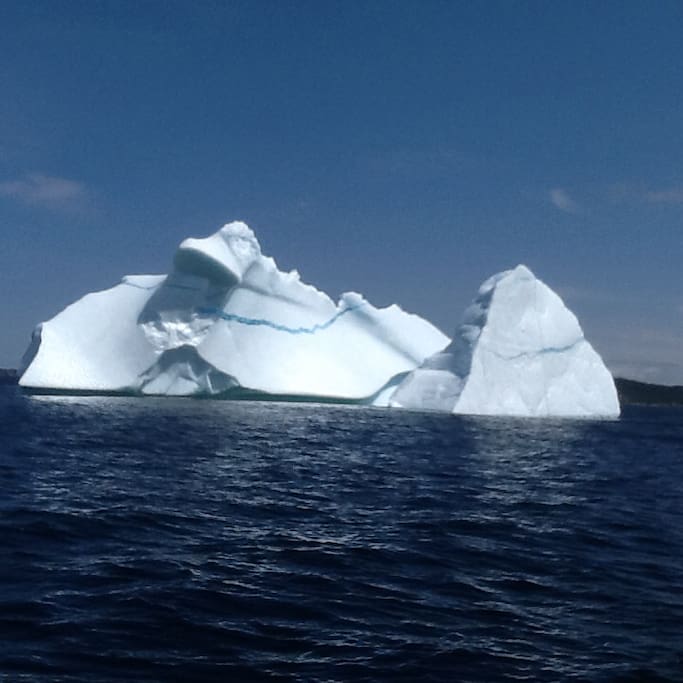 Icebergs are plentiful all around Little Bay Islands. In the heart of "Iceberg Alley"!