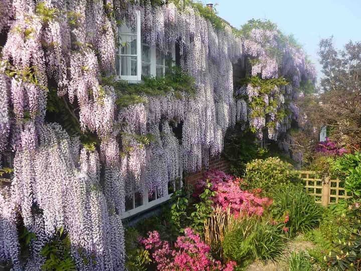 Cosy quaint cottage in the Battle East Sussex Cottages for Rent in