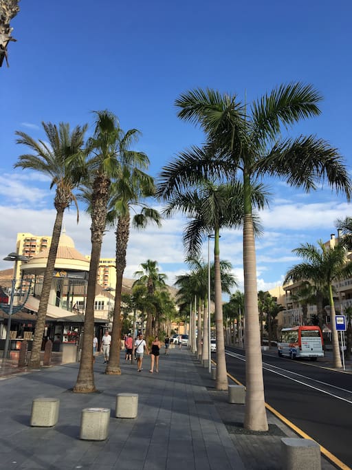 Las Americas city centre