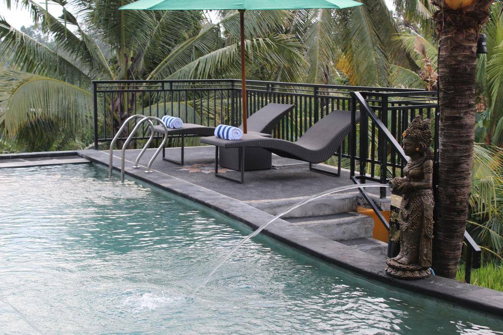 Our Pool