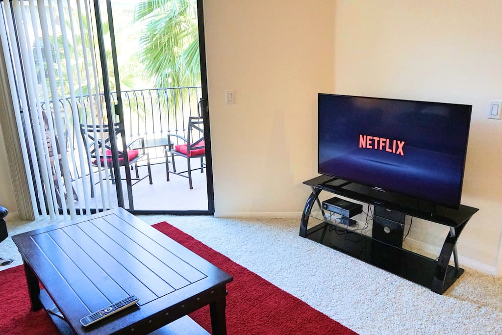 TV with Netflix to watch your favorite shows