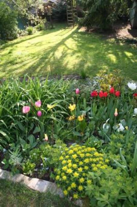JARDIN TOUT EN COULEURS
