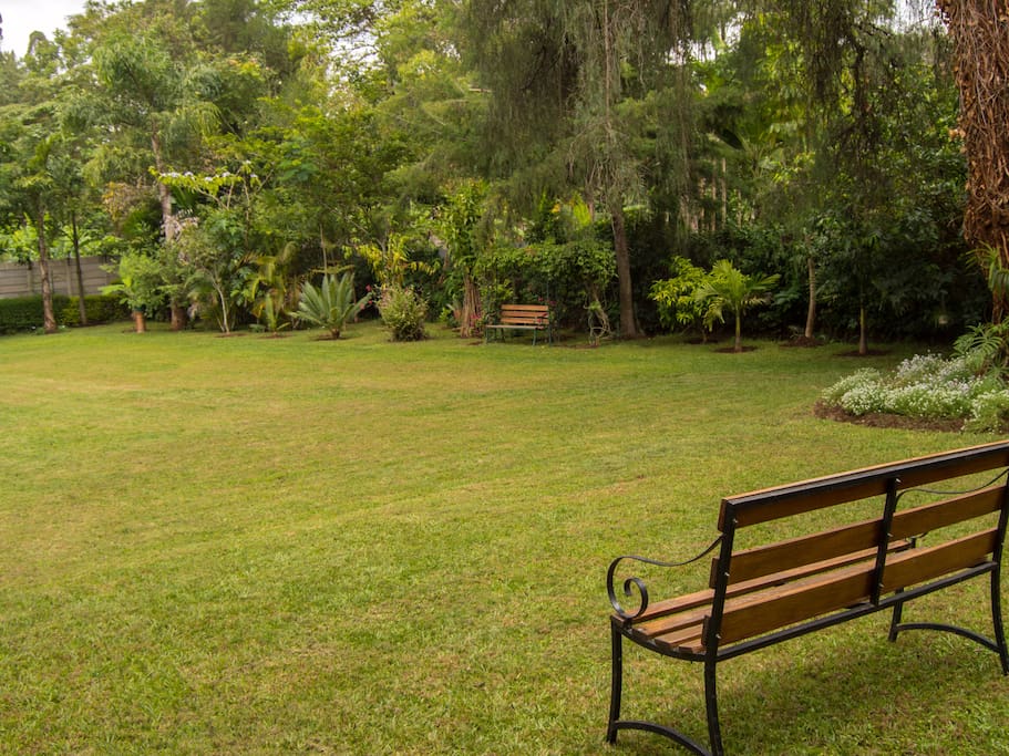 Tranquility & Fresh air for reading