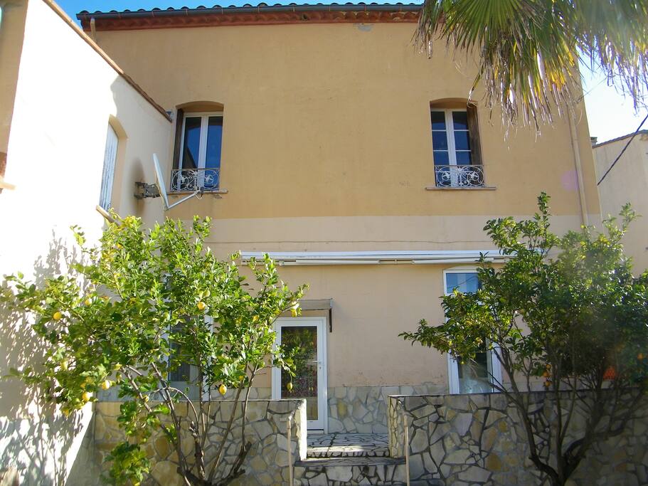 Façade arrière donnant sur cour de 60 m2. Exposée SUD OUEST. 1 CITRONNIER 1 ORANGER 1 PALMIER de 8m.