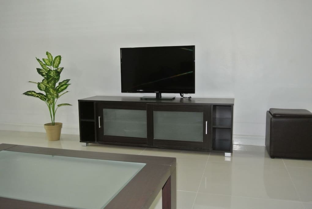 flatscreen TV