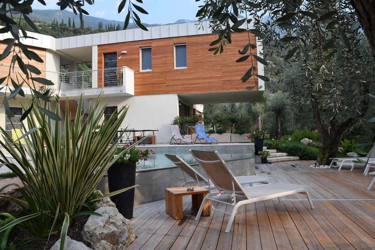 A modern structure with wood paneling is framed by olive trees and plants. A wooden deck surrounds a pool area with lounge chairs and a small table. The inviting outdoor space offers a serene atmosphere perfect for relaxation.