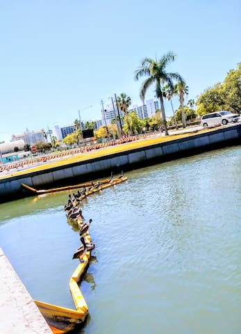 Room/bath in Luxury apartment at downtown.