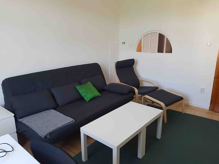 Habitación 3 "Habitación verde": habitación de retiro con sofá cama que se puede convertir en una cómoda cama (1.40mx2m)