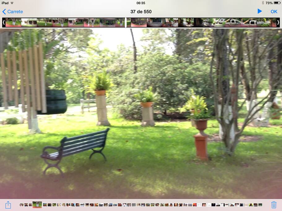 Jardin frente a casa con sombra de arboles ideal para disfrutar la naturaleza