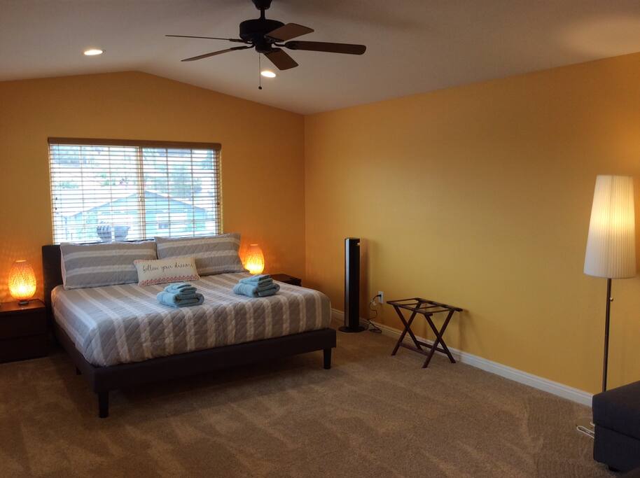 Master Bedroom with a King Bed