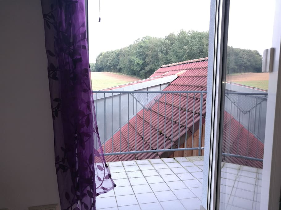 Balkon mit Waldblick