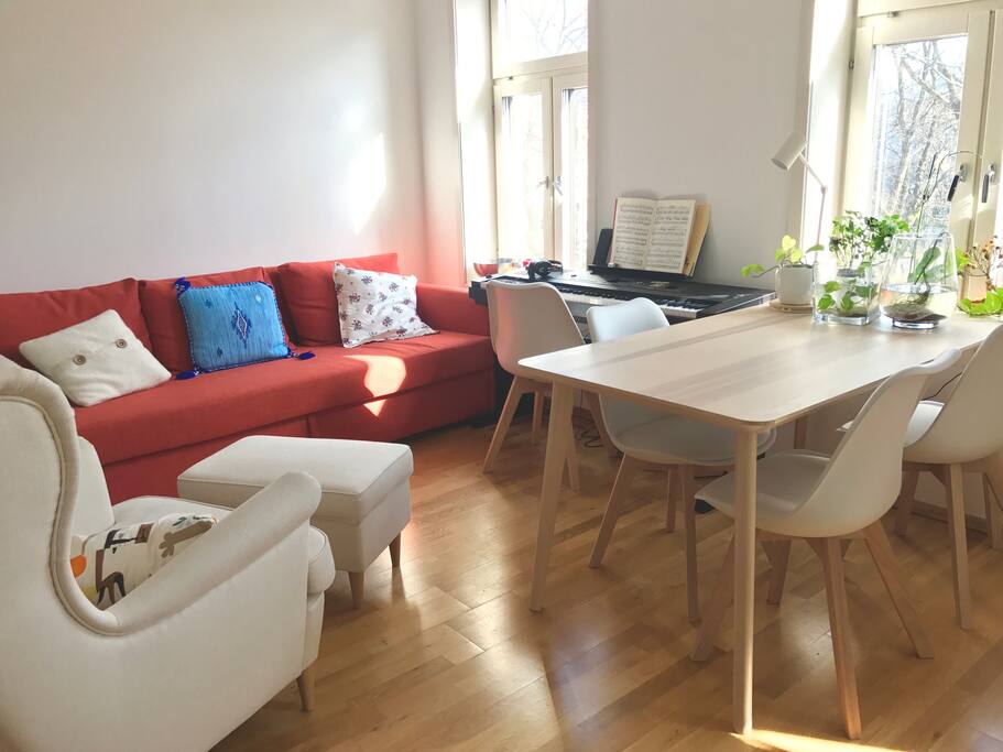 Living room with a sofabed (1.4m)