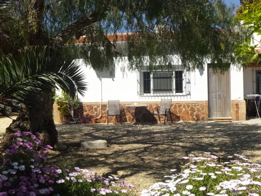 Fantastic setting. Outside the Orange Grove at Finca Arboleda