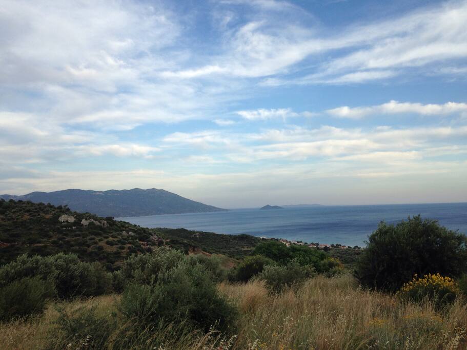 Local views