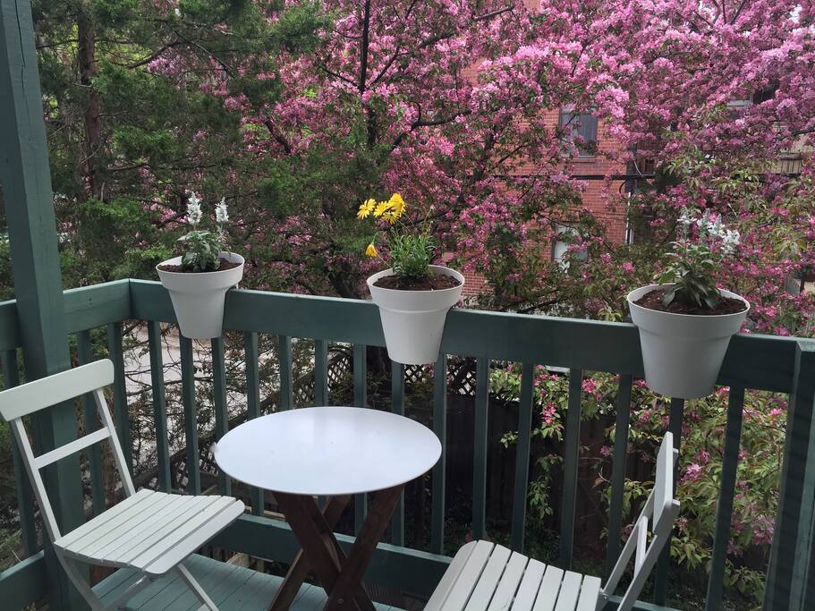 Small and cute patio at the back. Flowers and herbs there during summer time.
****
Petit balcon mignon à l'arrière.