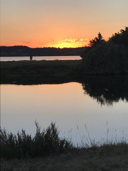 L’Etang on peut faire des balade 6 kilomètres le tour de l’étang endroit majestueux et idyllique