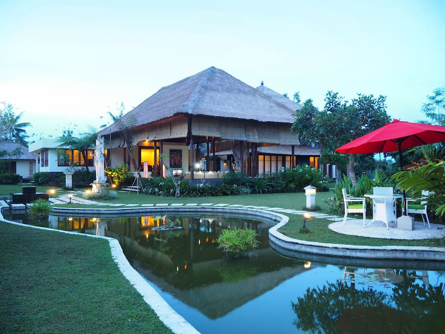 The garden and the pond