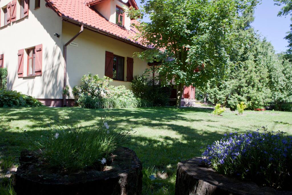 Widok domu