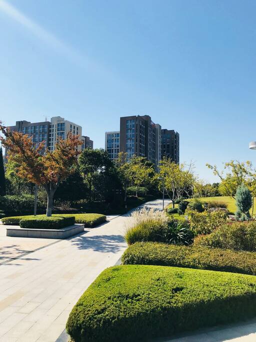 LOFT户外的景色