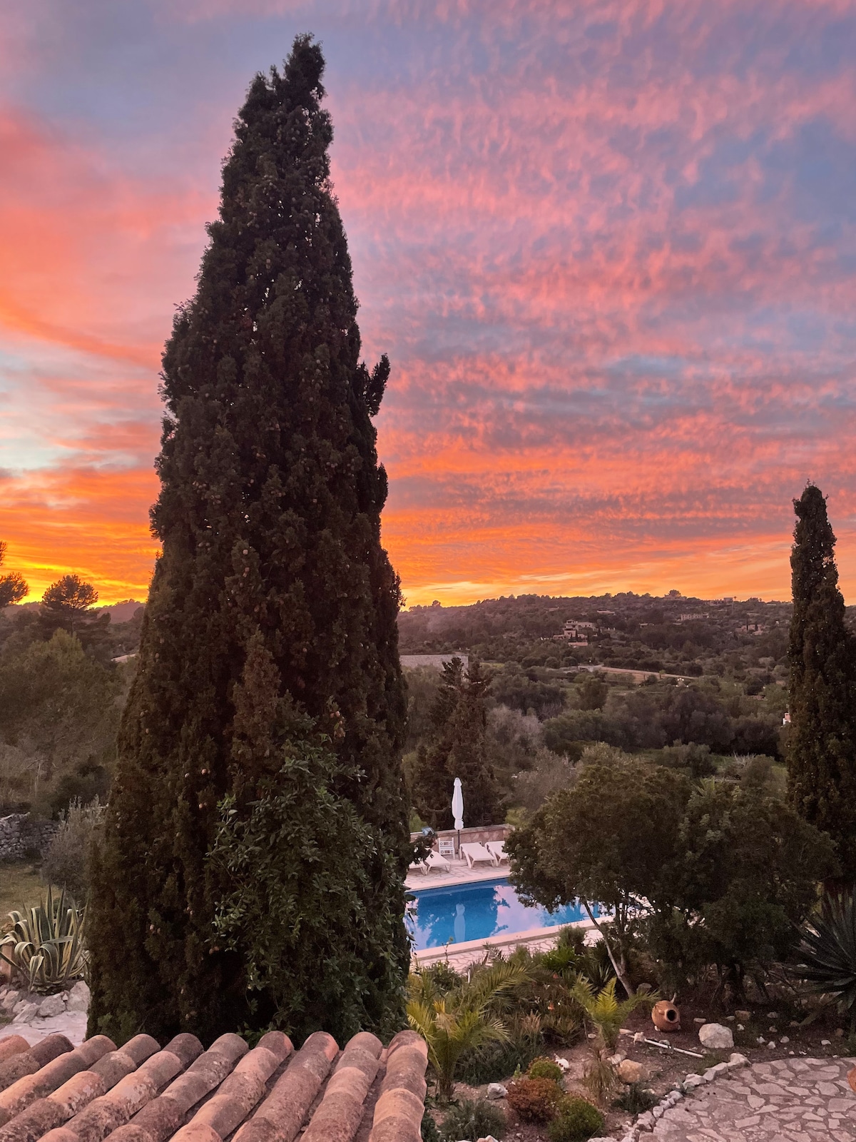 The image captures a serene sunset over a rural landscape, with vibrant orange and pink hues filling the sky. Tall cypress trees frame the scene, and a clear swimming pool is visible in the foreground, surrounded by lush greenery.