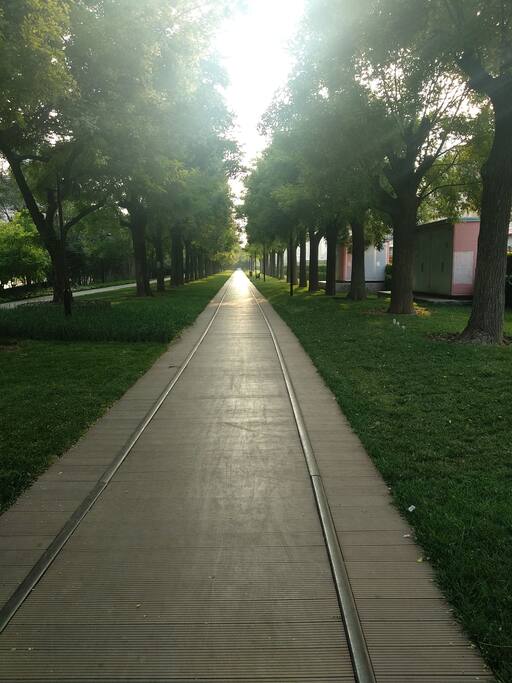 旧时铁路改造,地面是铁轨造就幽静的林荫路延绵数公里,傍晚携手看夕阳