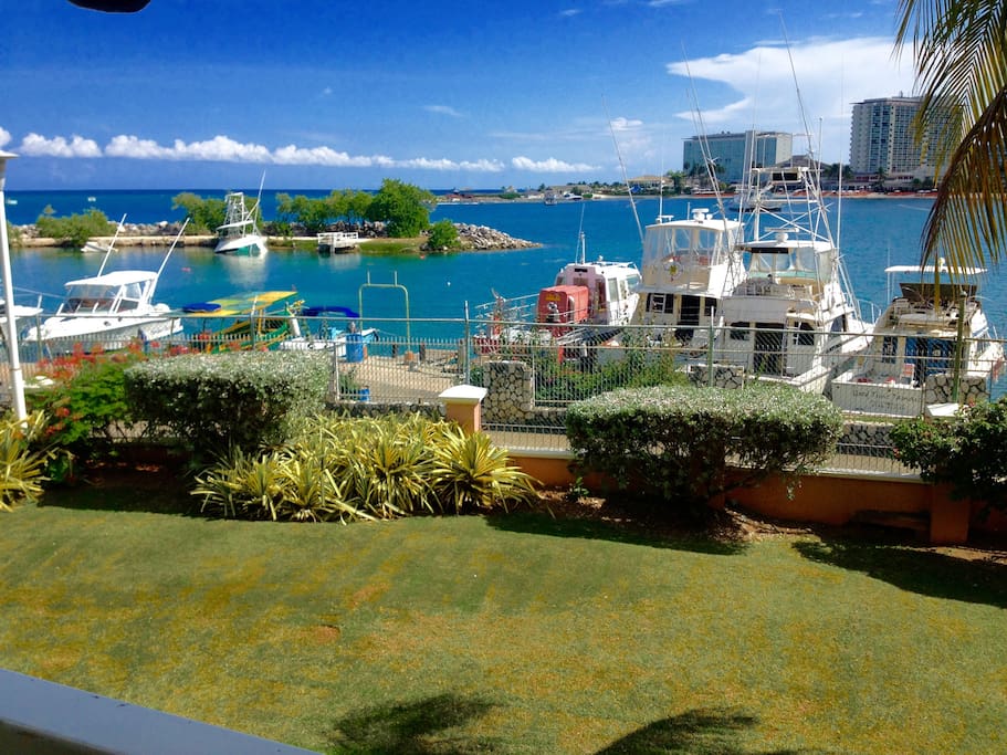 View from Balcony