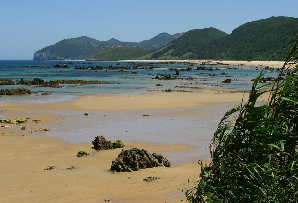 Fantástica playa de arena fina
