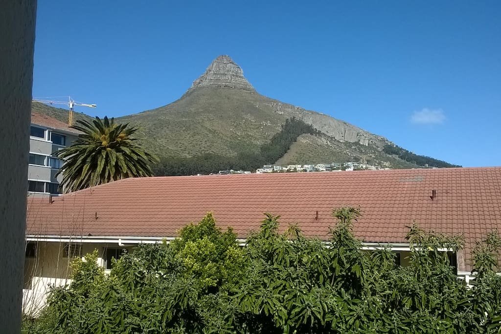 View of Lions Head Mountain from apartment