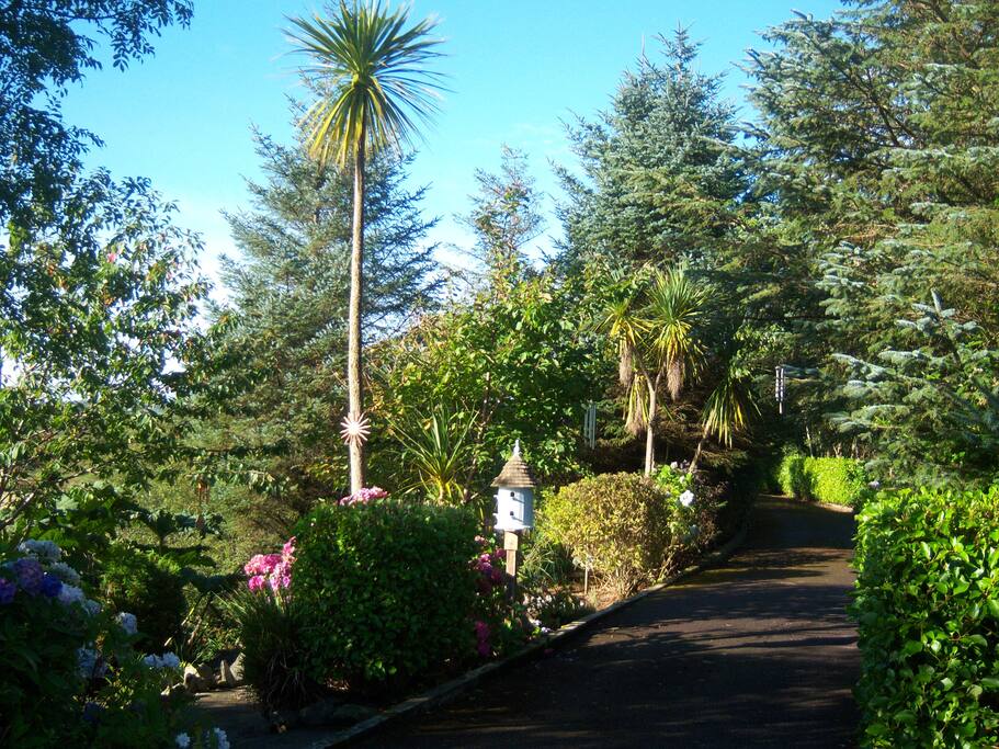 Avenue on a sunny day
