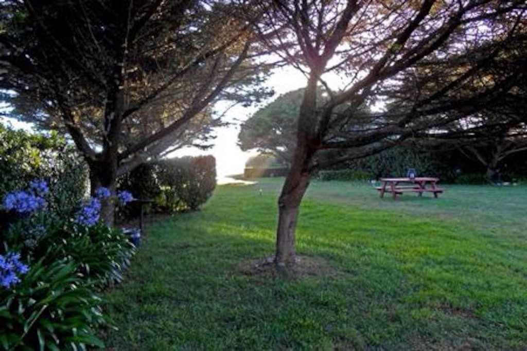 the park like area before the ocean
