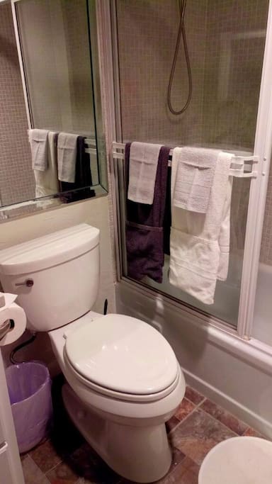 Guest bathroom with shower and bathtub