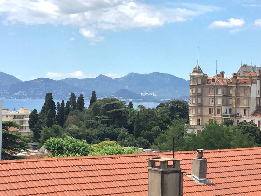 SEA VIEWS