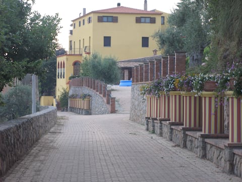 Property in Azienda Agrituristica